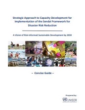Strategic approach to capacity development for implementation of the Sendai Framework for Disaster Risk Reduction: a vision of risk-informed sustainable development by 2030